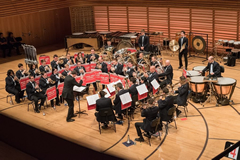 Swiss Open 2015 © www.worldBandsfestival.ch